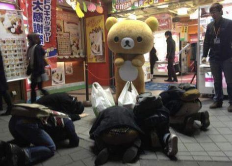 Internet Culture, Kawaii Shop, Rilakkuma, Funny Images, Dumb And Dumber, Cool Photos, Tokyo, Funny Pictures, Teddy Bear