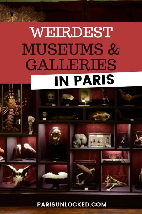 Paris Attractions, What To Do In Paris, Paris Bucket List, University Of Paris, Parisian Art, Places In Paris, Places To Visit In Europe, Paris Travel Tips, Nature Museum