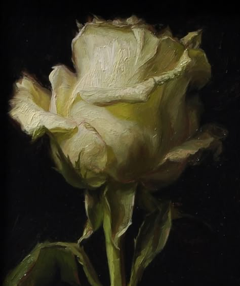 Flower Academia Aesthetic, Vintage Flower Painting Aesthetic, Classic Art Flowers, Live Art Painting, Art From 1800s, Baroque Art Flowers, Gothic Oil Painting Art, White Rose Of York, White Rose Oil Painting