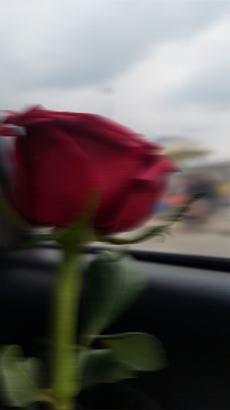 Blurry Flowers, Blur Picture, Red Flower, Red Flowers, Beautiful Images, Flowers, Red