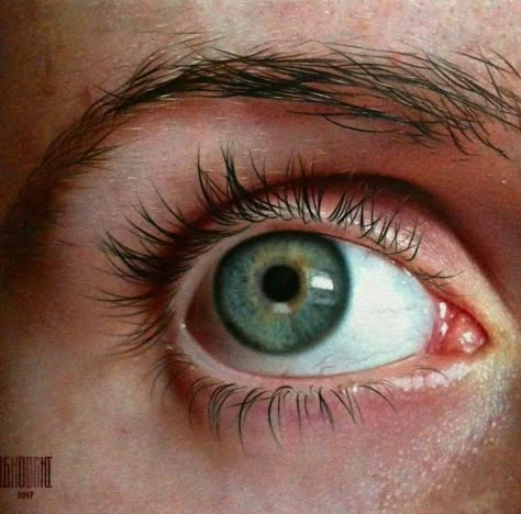 Expressive Eyes Photography, Eye Looking Up, Eyes Looking Up, Eye Study Reference, Eye Refrences Photos, Eye For Drawing, Oeil Photo, Eyes Reference Photo, Eye Reference Photo