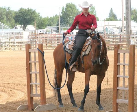 Working Equitation Working Equitation, Horsey Life, Western Trail, Dressage Training, South American Countries, Western Pleasure, Horses For Sale, American Country, Horse Rider