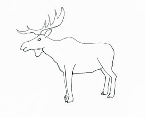 Final drawing of the Moose June Watercolor, Moose Drawing, Animals Outline, Alaska Moose, Animal Outline, Easy Animal Drawings, Drawing Eye, Drawing Lessons For Kids, Draw Animals