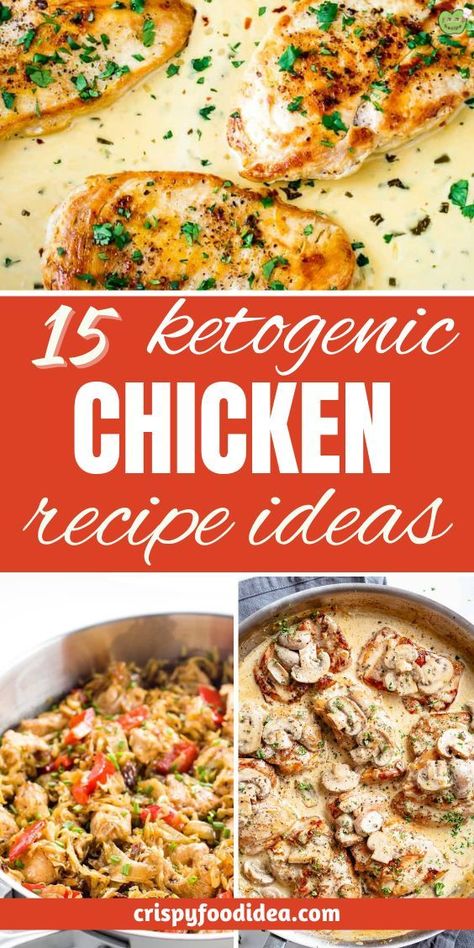 Here you get some keto chicken recipe that are best for meal plan. Keto Chicken Recipes Ketogenic Diet, Chicken Diet Recipes, Keto Chicken Meals, Keto Dinner Recipes Chicken, Hcg Chicken Recipes, Keto Chicken Dinners, Keto Stuffed Chicken, Low Carb Chicken Recipes Easy, Keto Chicken Breast