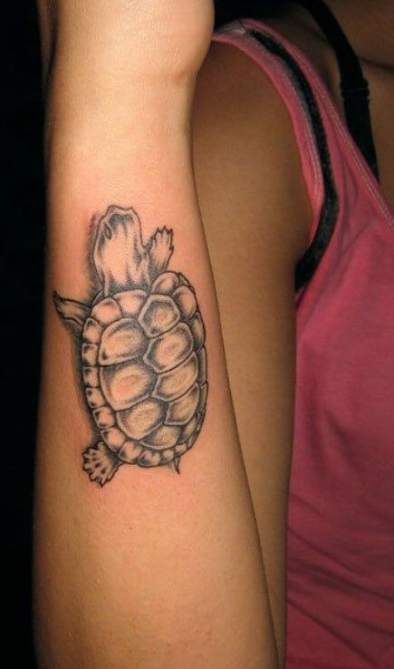 21+ 3D Turtle Tattoos You Won't Believe | PetPress Land Turtle Tattoo, Tattoos Turtle, Turtle Meaning, Land Turtle, 3d Turtle, Tattoo Sea, Small Wave Tattoo, Turtle Tattoos, Meaning Tattoos