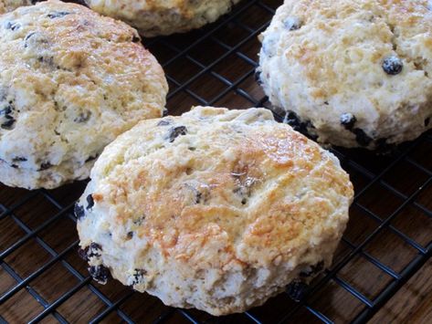 Martha Stewart Scones Recipe, Martha Stewart Scones, Buttermilk Scones Recipe Martha Stewart, Brunch Favorites, Buttermilk Scone Recipe, Lemon Scones Recipe, Currant Scones, Blueberry Lemon Scones, Berry Scones