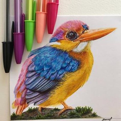 Colored Pens Drawing, Becoming A Lawyer, Biro Drawing, Biro Art, Ballpoint Pen Art, Pen Art Work, Ballpoint Pen Drawing, Pen Drawings, Nature Sketch