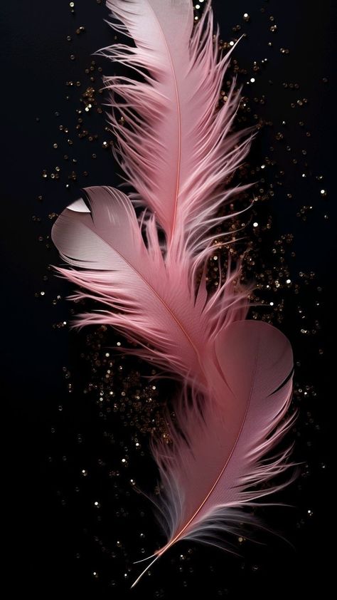 Pretty Wallpapers Backgrounds Beauty, Feather Background, Feather Wallpaper, Phone Wallpaper Boho, Iphone Wallpaper Stills, Phone Background Patterns, Eyes Wallpaper, Flowery Wallpaper, Iphone Wallpaper Hd Nature