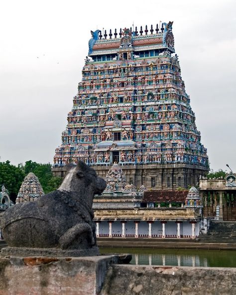 Chidambaram Temple, Chidambaram, Tamil Nadu Chidambaram Temple, Tamil Temple, Tamilnadu Temples, Temple India, Indian Temple Architecture, India Architecture, Ancient Indian Architecture, Hindu Temples, Temple Photography