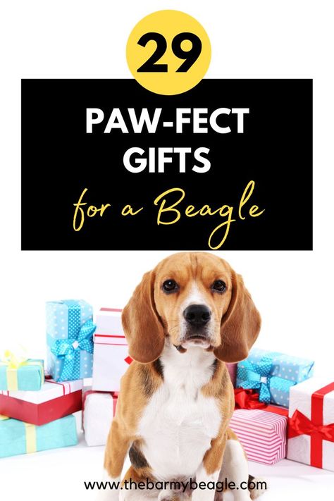 ideal gifts for a beagle Cake Recipe For Dogs, Liver Cake, Beagle Breeds, Beagle Gifts, Dog Dna Test, Dog Couch, Treats For Dogs, Dog Water Bottle, Dog Cakes