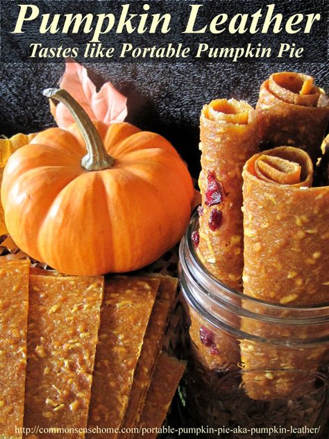 This dried pumpkin leather is a tasty, easy to make snack that tastes like pumpkin pie. Nutritious, portable, and doubles as a way to store extra pumpkin. Pumpkin Fruit, Fruit Leather Recipe, Pumpkin Snack, Easy To Make Snacks, Food Dehydrator, Fruit Leather, Pumpkin Pies, Fruit Roll, Dehydrated Fruit