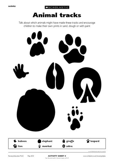 Use animal tracks in a line for students to stand on while lining up Early Years Teaching, Safari Activities, Animal Footprints, Wild Safari, Animal Tracks, Animal Activities, Animal Habitats, Jungle Party, Safari Birthday