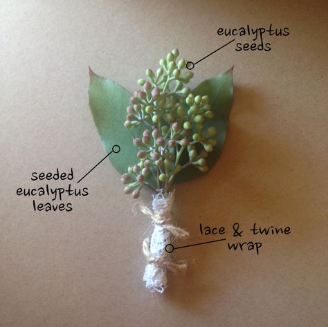 Seeded Eucalyptus Boutonniere by Jen's Blossoms Lambs Ear Bouquet, Eucalyptus Boutonniere, Oxford English Dictionary, Mini Bouquets, Muted Pastels, Eucalyptus Bouquet, Oxford English, Sisters Wedding, Green Bouquet