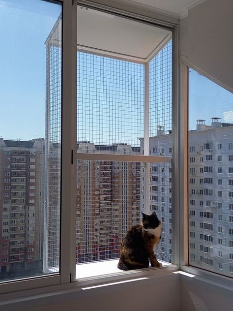 Catio Ideas Cat Window, Cat Balcony Ideas, Catios For Cats Window, Cat Patio Enclosure, Outdoor Cat House Plans, Catio Furniture, Cat House For Winter, Catio Window, Cat Proof Balcony