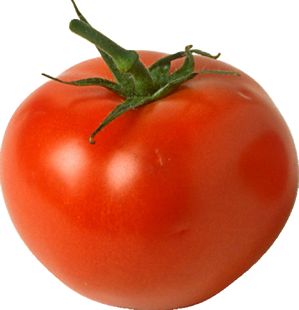 tomato_small Tomato Benefits, Health Benefits Of Tomatoes, Freezing Tomatoes, Vegetable Pictures, Beefsteak Tomato, Sprouting Seeds, Red Plants, Red Tomato, Plant Spacing