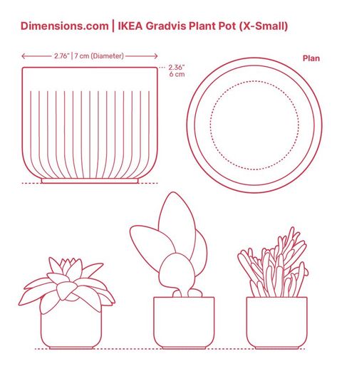 Shape Chart, Decor Guide, Tree Decor, Decor Project, Potted Plants, Stoneware, Illustration Art, Plants, Color