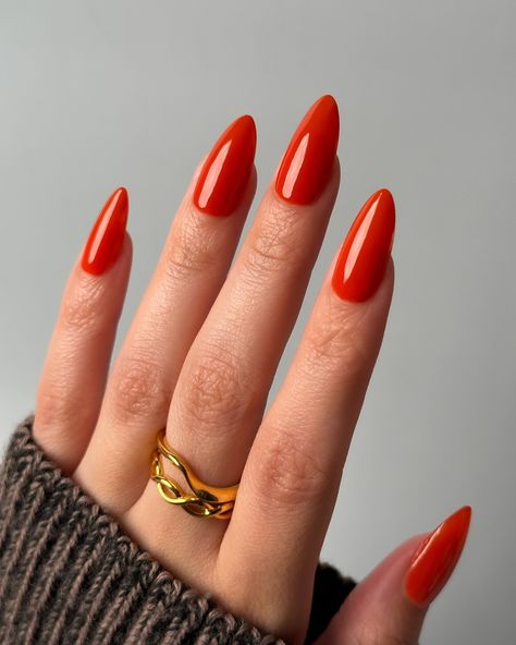 Lights Lacquer, Home for the Harvest 🧺 First up, 🎃 Little Miss Pumpkin, a burnt pumpkin orange polish with a crelly finish This is such a wearable orange shade and the formula is spectacular 🧡 • use code COLORNOOK to save on your purchase @lightslacquer • use code THECOLORNOOK to save on your purchase @nominal #lightslacquer #homefortheharvest #fallnails #fallnailcollection #orangenails #pumpkinnails #burnorangenails #littlemisspumpkin burnt orange crelly nail polish autumn fall Orange Nails Autumn, Pumpkin Orange Nails, Orangey Red Nails, Red Orange Nails, Lights Lacquer, Pumpkin Nails, October Nails, The Harvest, Orange Nails