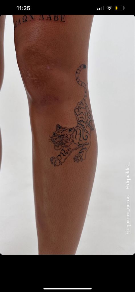 Bend Of Knee Tattoo, Woman Shin Tattoo, Above Knee Floral Tattoo, Knee Leaf Tattoo, Tattoo Below Knee, Wrap Around Calf Tattoos For Women, Above Knee Women’s Tattoo, Botanical Knee Wrap Tattoo, Knee Women’s Tattoo