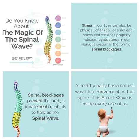 Spinal Tracts Nervous System, Spinal Flow Technique, Spinal Energy, Spinal Flow, Spinal Cord Anatomy Nervous System, Ascending Tracts Of Spinal Cord, Natural Waves, Healthy Babies, Nervous System