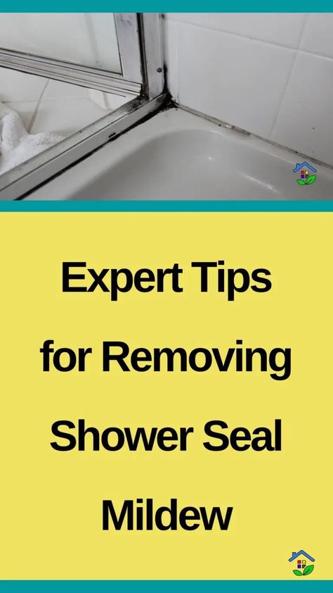 Banishing Mold: Effective Techniques for Shower Seal Cleaning Shower Seal Cleaning, Cleaning Shower Mold, Remove Mold From Shower, Glass Shower Door Cleaner, Shower Mold, Shower Door Seal, Bathroom Shower Stalls, Glass Shower Wall, Clean Shower Doors