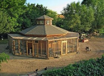 Chicken Coop with Multiple runs Pigeon Keeping, Chicken Fencing, Homesteading Animals, Pets Stuff, Chicken Coup, Coop Design, Best Chicken Coop, Chicken Coop Designs, Coop Plans