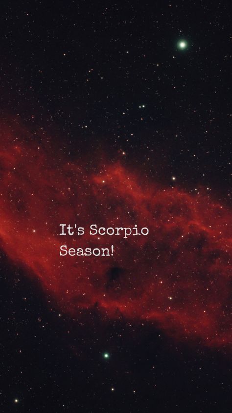 Scorpio Season Wallpaper, Scorpio Screensavers, Scorpio Season Aesthetic Wallpaper, Scorpio Zodiac Wallpaper, Scorpio Asthetics Wallpaper, Scorpio Zodiac Background, Scorpio Season, Phone Wallpaper