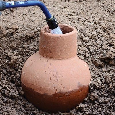 Clay Pot Irrigation, Ancient Irrigation, Growing Vegetables Indoors, Low Water Gardening, Terra Cotta Clay Pots, Seed Company, Edible Plants, Garden Irrigation, Clay Pot