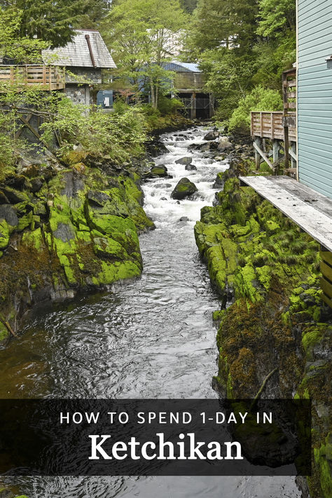 How to spend 1 day in Ketchikan, Alaska while on your Alaska Cruise Ketchikan Alaska Things To Do, Alaska Ketchikan, Cruise Itinerary, Bear Island, Ketchikan Alaska, Alaska Vacation, Colourful Buildings, Summer Plans, Alaska Cruise