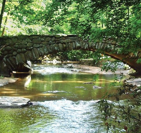 Your guide to cramming the best of Rock Creek Park into a single hike on a single day. Vacation Budget, Things To Do In Washington, Washington Hikes, Summer Backyard, Budget Vacation, Dc Travel, Hiking Guide, Rock Creek, Free Things To Do