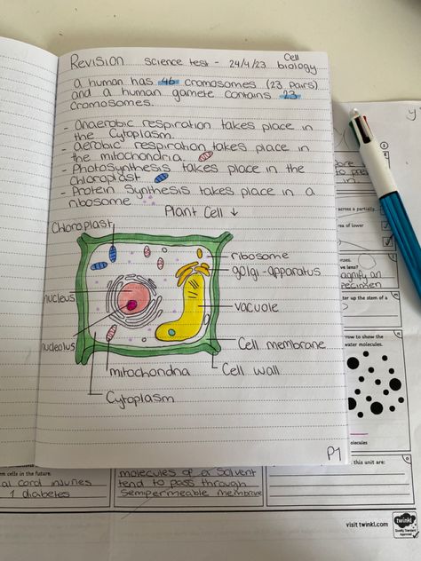 Year 9 Science Revision, Year 11 Revision, Flashcards Revision, Revision Motivation, Write Ideas, Revision Techniques, Handwriting Ideas, Revision Tips, Inspector Calls