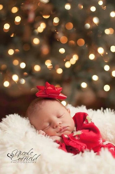 23 Adorable DIY Christmas Baby Photo Ideas - Just Simply Mom Diy Christmas Photoshoot Baby, Newborn Christmas Pictures, Diy Christmas Photoshoot, Baby Christmas Photography, Newborn Christmas Photos, Christmas Baby Pictures, Baby Christmas Photos, Newborn Baby Photoshoot, Newborn Christmas