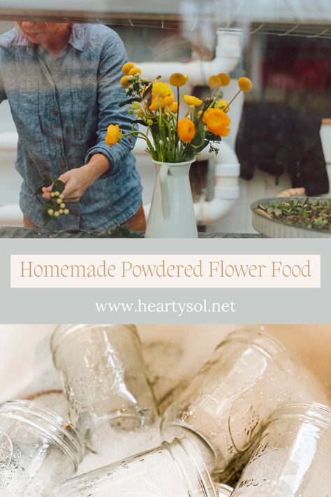 Powdered Flower Food is something you can create with just a few simple household items: sugar, baking soda, citric acid, and bleach. We use this recipe for our fresh cut flowers at home and can see a noticeable difference in the longevity of our flowers. #flowerfood #powderedflowerfood #freshflowers #diyflowerfood #flowerpreservation #flowers #howtomakepowderedflowerfood Flower Food Diy Water, Flower Food Diy, Homemade Flower Food, Cut Flower Food, Homemade Plant Food, Flowers At Home, Natural Recipes, Healing Garden, Stand Ideas