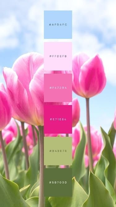 Joyful Colour Palette, Spring Colour Scheme, Color Palette Pink And Green, Colour Palettes Bright, Logo Color Palette Branding, Colour Palette Pink, 4 Color Combinations, Logo Color Palette, Color Me Mine