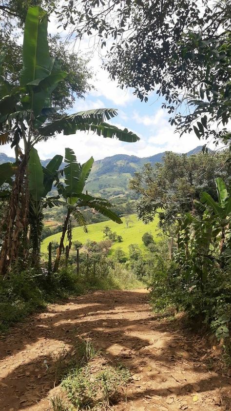 Brazil Countryside, Rural Aesthetic, Farm Lifestyle, Flowers Photography Wallpaper, Story Ideas Pictures, Pretty Landscapes, Photography Wallpaper, Alam Yang Indah, Beautiful Nature Pictures