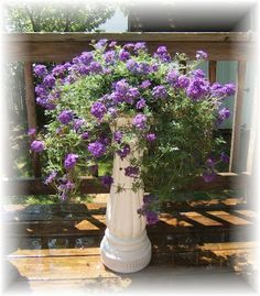 Create this back door herb garden by tiering some galvanized planters-- stack bricks inside the lower buckets and set the nesting bucket on top, and surround with potting soil. Description from pinterest.com. I searched for this on bing.com/images Cascading Planter, Bird Bath Planter, Bird Bath Garden, Garden Cottage, Garden Containers, Lawn And Garden, Container Plants, Outdoor Plants, Garden Pots