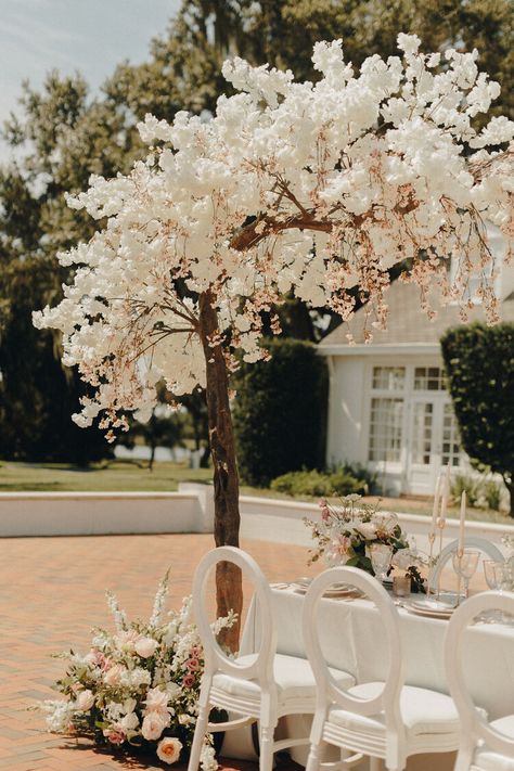 Cherry Blossom Wedding Decor, Cherry Blossom Centerpiece, Blossom Tree Wedding, White Blossom Tree, Cherry Blossom Wedding Theme, Cherry Blossom Decor, Wisteria Wedding, Floral Arch Wedding, Minimalist Wedding Decor