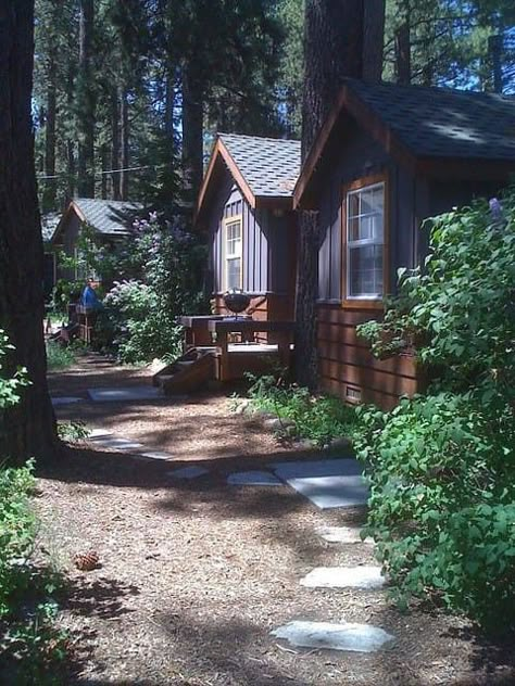 Small Cabin In The Woods, Summer Camp Aesthetic, Tumbleweed Tiny Homes, Camp Aesthetic, Tiny House Blog, Zio Rick, Camp House, Cabin Aesthetic, Camp Rock