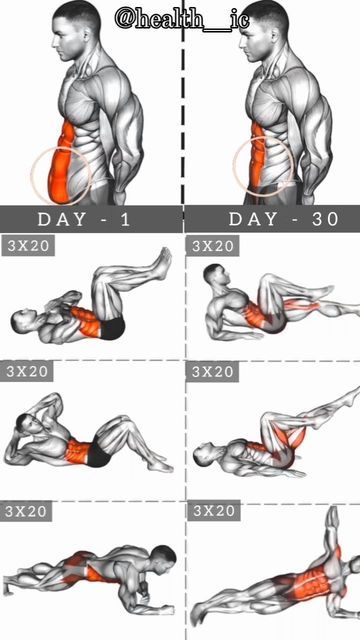 Bodyweight Back Workout, Abs And Obliques Workout, Workout Belly, Core Muscle, Sixpack Workout, Gym Workout Guide, Aesthetic Workout, Personal Fitness Trainer, Gym Workout Planner