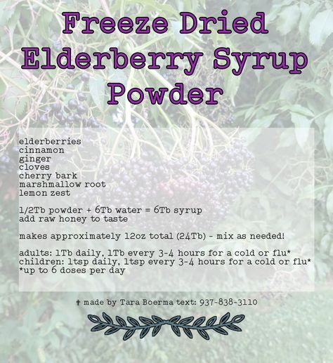 This is a freeze dried elderberry syrup powder, made with elderberries, Ceylon cinnamon, ginger, cloves, marshmallow root, wild cherry bark, and lemon zest.  The entire amount of power reconstitutes to 1.5 cups (12oz). Mix as needed, and add raw honey or maple syrup to your taste!  It will come packaged in a sealed mylar bag with a silica desiccant packet. Herb Knowledge, Witchy Ideas, Herb Tinctures, Elderberry Syrup Recipe, Elderberry Recipes, Food Foraging, Freeze Dryer, Food Shelf, Wild Food Foraging