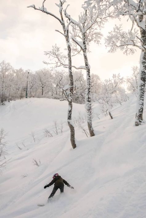 The World Pursuit in Furano Powder Skiing, Furano, Travel Inspo, Ski And Snowboard, Ski Resort, All Over The World, Skiing, Tokyo, Japan