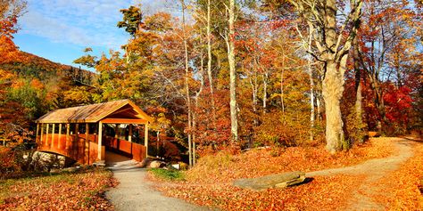 11 Hiking Trails Near Breweries For Beer Lovers Everywhere Catskills Ny Fall, Catskills New York, Cottagecore Life, Catskills Ny, Long Weekend Getaways, River Trip, The Catskills, Glamping Site, Victorian Buildings