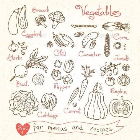 Set drawings of vegetables for design menus, recipes and packages product Drawings Of Vegetables, Broccoli Vegetable, Vegetable Drawing, Mushroom Drawing, Mushroom Design, Editorial Illustration, Food Illustrations, Free Vector Art, Vector Art