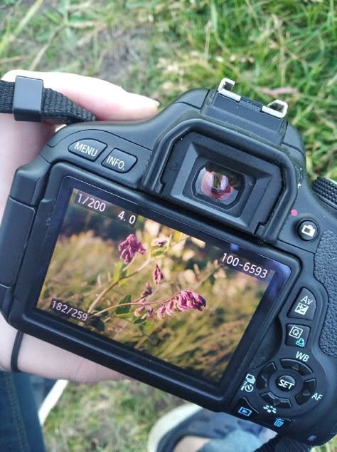 Film Camera Photography, Cute Camera, Garden Pictures, Ap Art, Take A Picture, Foto Ideas Instagram, Photography Camera, Best Camera, Photography Inspo