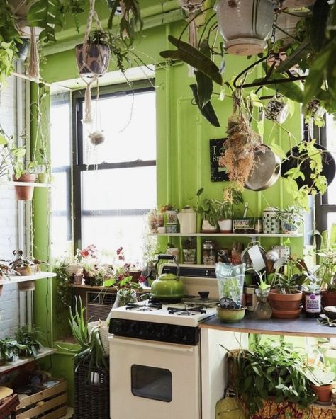 Plant Apartment, Green Apartment, Topanga Canyon, Apartment Goals, Brooklyn Apartment, Pink Palette, Desert Vibes, House Plants Decor, Room With Plants