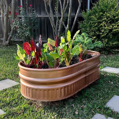 Copper Raised Garden Beds, Brick Raised Garden Beds, Raised Veggie Gardens, Backyard Planters, Wood Raised Garden Bed, Metal Garden Beds, Willow Garden, Wheelbarrow Garden, Garden Bed Layout