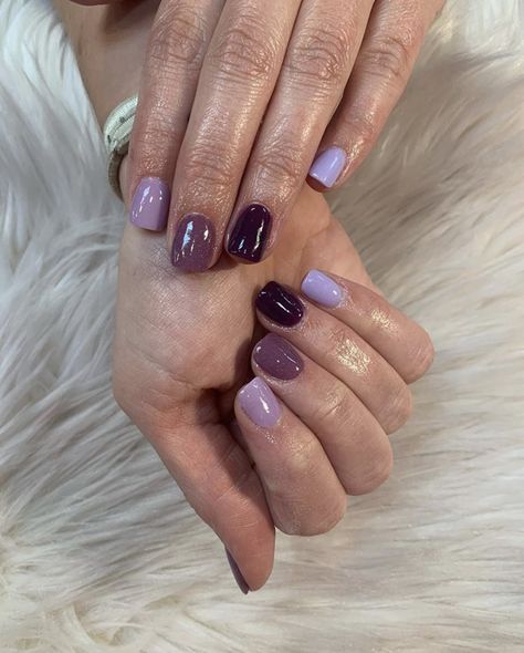 Multi Colored Purple Nails, Multi Purple Nails, Multi Color Dip Nails, Dark Purple Dip Nails, Three Color Nail Combinations, Multi Colored Nails Winter, Fall Multi Color Nails, Purple Nails Dip, November Nails 2022