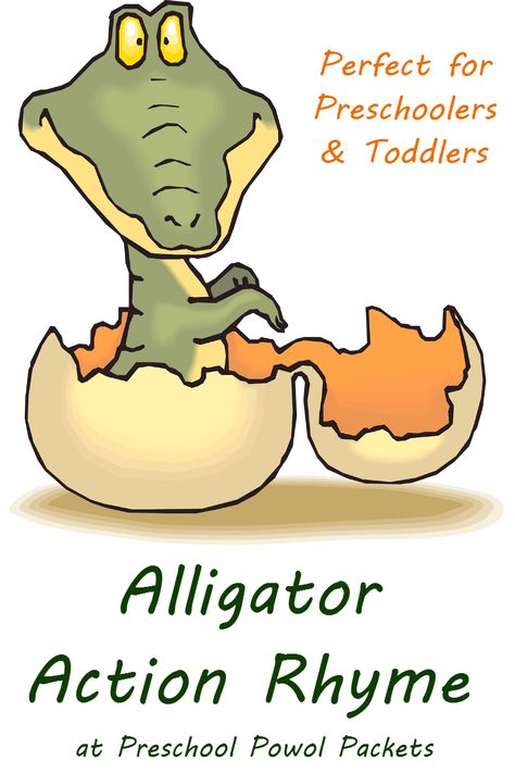 This alligator action rhyme for preschoolers is perfect for spring and summer fun, babies themes, and the letter A! Reptiles Preschool, Reptiles Activities, Oviparous Animals, Classroom Songs, Rabbit Cages, Fun Outdoor Activities, Preschool Songs, Outdoor Activities For Kids, Preschool Science