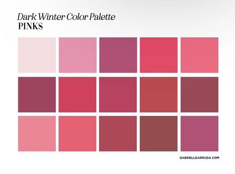 Winter Color Pallet, Winter Color Palette, Color Palette Pink, Winter Color, Winter Colors, Color Pallets, Color Palette, Pink, Color