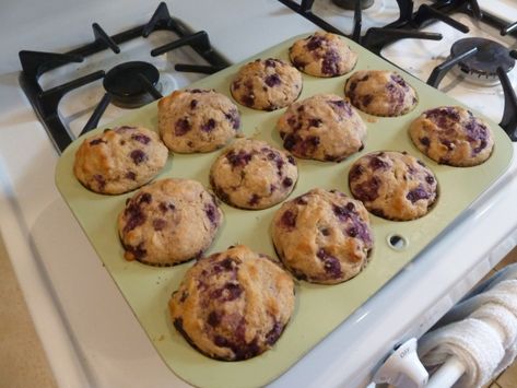 Elderberry Muffins | My Edible Backyard Elderberry Muffins, Edible Backyard, Elderberry Bush, Elderberry Recipes, Summer Food, Whole Wheat Flour, Muffin Recipes, New House, Free Stuff