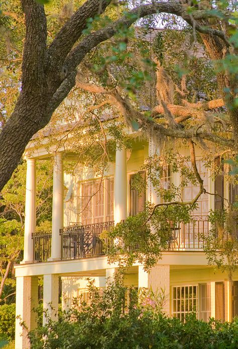 Home Exterior Ideas, Beaufort South Carolina, Southern Mansions, Southern Plantations, Southern Living Magazine, Antebellum Homes, Southern Homes, Home Exterior, Exterior Ideas